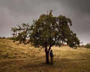 An image from Once Upon a Time in Anatolia